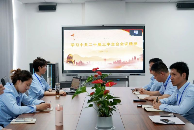 盟创纳米深入学习党的二十届三中全会精神